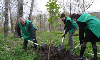 аллеи в подарок Череповц