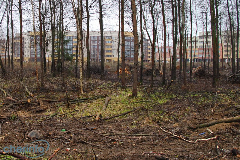 В Зашекснинском районе Череповца появится новый сквер на Октябрьском проспекте
