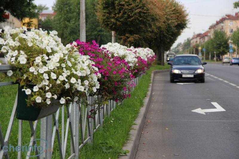 Tapтaлeтки & Ко