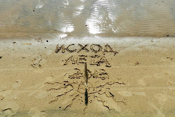 Уникальный фестиваль «Исход лета» пройдет в Дарвинском заповеднике (Череповец)