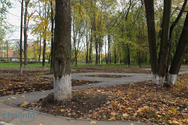 В Череповце у областной больницы № 2 появится парковка на 126 мест