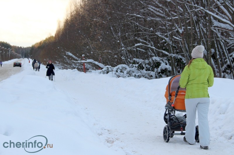 Следом глава города и сопровождающие побывали на Тропе здоровья в Зашекснинском районе, месте очень популярном у горожан