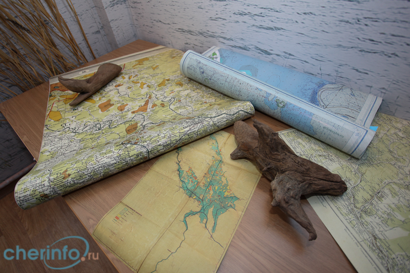 Вчера вечером в музее природы открылся эколого-просветительский центр Дарвинского биосферного заповедника