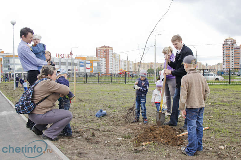 В парке Зашекснинского района череповчане высадили именные родовые деревья