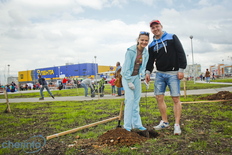 17.05.2015 в парке культуры и спорта «Серпантин» в Зашекснинском районе череповчане высадили сто молодых дубков